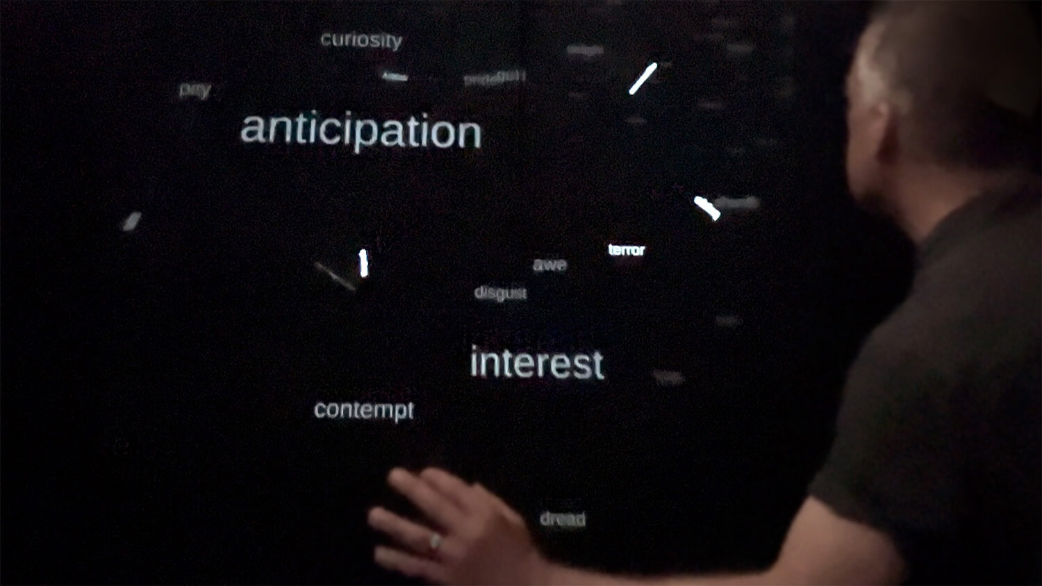 Morphological Murmurations